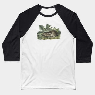 Wild Rabbit Illustration Baseball T-Shirt